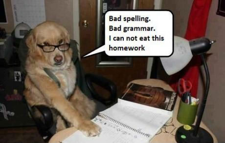 bad spelling, bad grammar, I can not eat this homework, dog