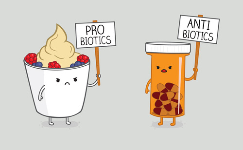 yogurt, pills, probiotics, anti-biotics, protest
