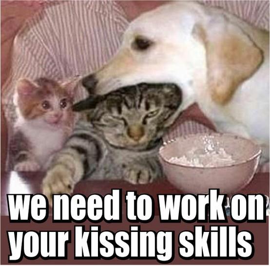 We Need To Work On Your Kissing Skills Justpost Virtually Entertaining
