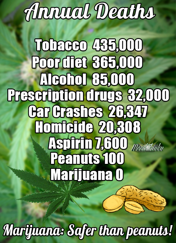 marijuana, death toll, annual