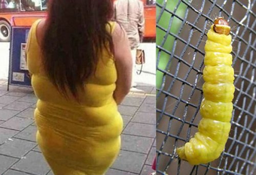 dress, fat, insect, bug, yellow, totallylookslike