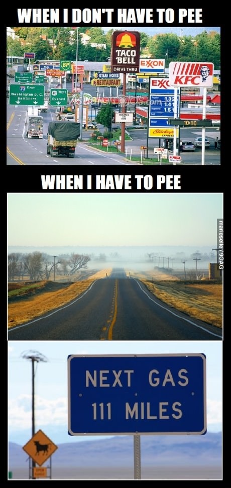 meme, road trip, pee