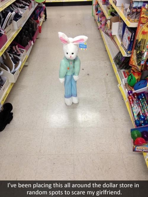troll, prank, scare, bunny rabbit