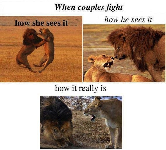 couple, fight, perspective, reality
