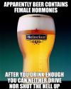 beer, female hormones, drive, talk, meme, lol