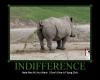 rhino, motivation, indifference, shit, disgusting