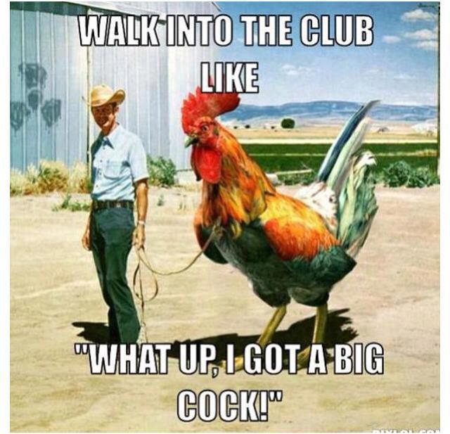 walk into the club like what up I got a big cock, meme