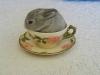 bunny, rabbit, tea cup