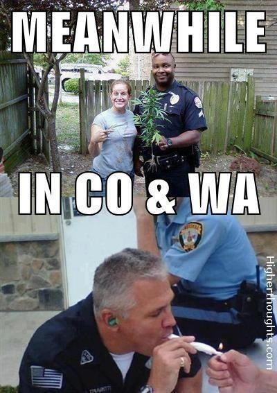 colorado, washington, marijuana, cops