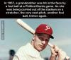 in 1957 a grandmother was hit in the face by a foul ball at a phillies-giants game, as she was being carried out of the stadium on a stretcher, another foul ball hit her again