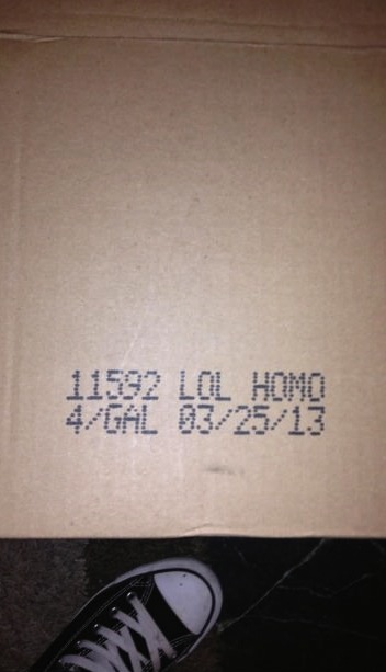 pizza box, lol, homo
