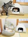 cat, dog, bed, house