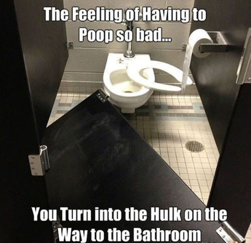 bathroom, stall, meme, hulk