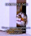 excuse me were you attempting to use the bathroom alone?, meme, cat