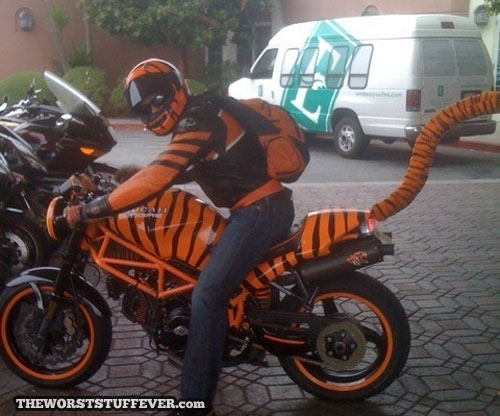 motorcycle, tiger, fail, 