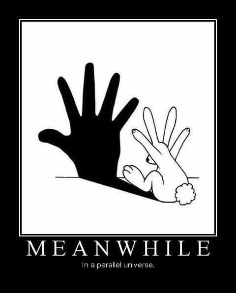 motivation, bunny, hand, shadow, meanwhile, parallel universe