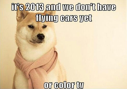 it's 2013 and we don't have flying cars yet or color tv, first world dog problems, meme