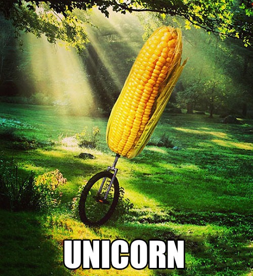 corn, unicycle, unicorn
