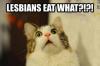 lesbians eat what, cat, meme