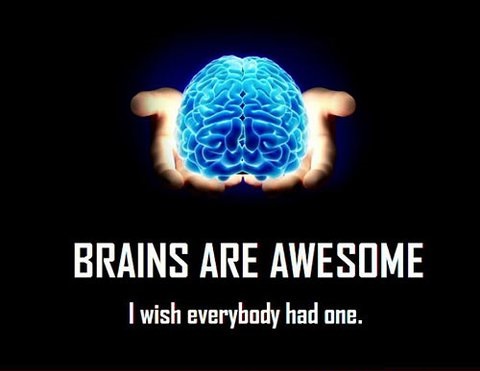 brains are awesome, I wish everybody had one