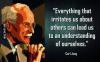 everything that irritates us about others can lead us to an understanding of ourselves, carl jung, quote