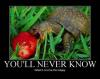 you'll never know what it is to be happy, motivation, turtle eating a strawberry