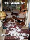 while you were out we settled our differneces, cat and dog fight strews toilet paper all over living room, destruction, meme