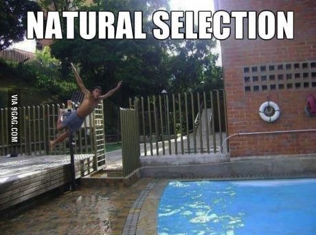natural selection, fail, timing, pool, jump, miss