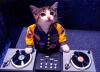 cat, dj, cute, mixer, vinyl, turntables