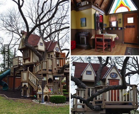 tree house, win, awesome, best