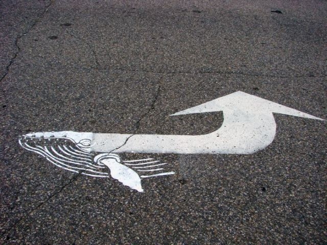 street, art, whale