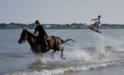 horse, wake board, jump