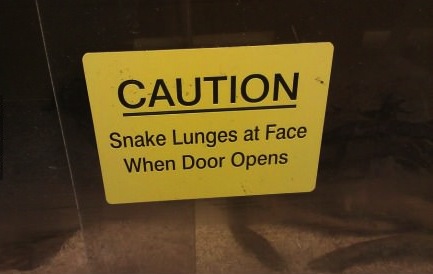sign, wtf, snake, face, lol