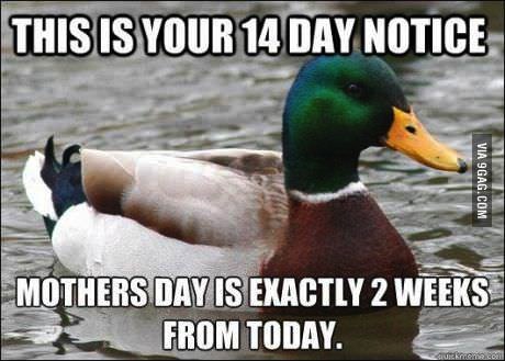 actual advice mallard, meme, mother's day