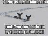spring is here in minnesota, look two deer celebrate by frolicking in the field, meme