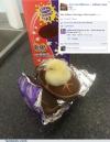 chocolate, egg, chick, facebook, easter