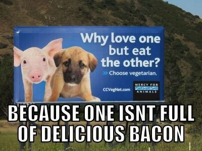billboard, dog, pig, bacon, meme