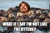 what if I say I'm not like the otters, dave grohl, meme
