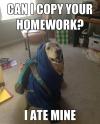 dog, homework, ate, meme