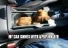 dog, puppy, car, holder, pun