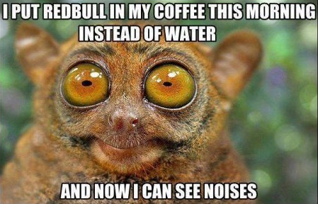redbull, coffee, water, eyes, see noises, lemur