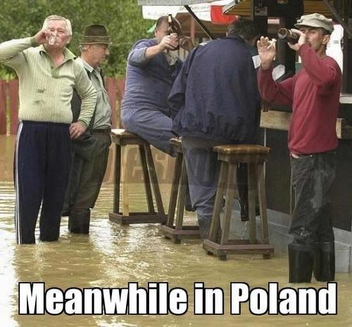 poland, meme, meanwhile, flood