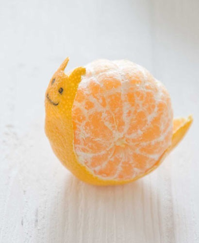orange, peel, art, snail