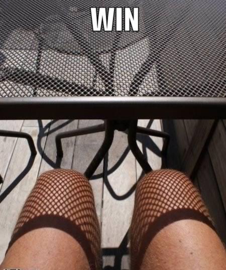 shadow, win, fish net stockings, table
