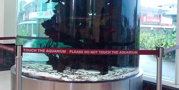 touch the aquarium, please do not touch the aquarium