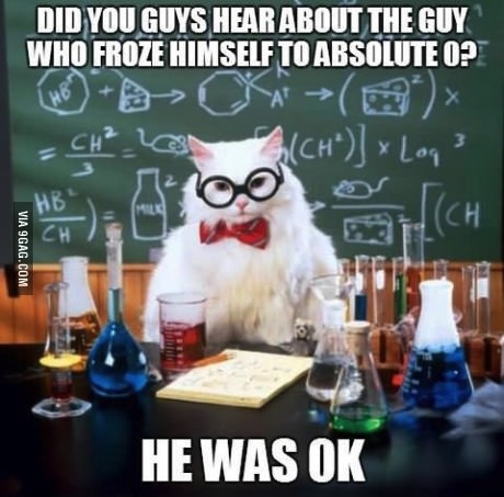 science cat, meme, joke, absolute zero, kelvin