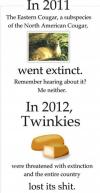twinkie, extinction, cougar, sad, 2011, 2012