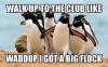 walk up to the club like whaddup I got a big flock