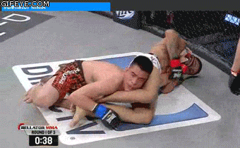 gif, wrestling, like a boss, submission, lol