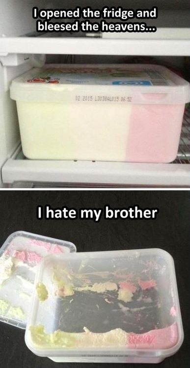 freezer, ice cream, brother, siblings, troll